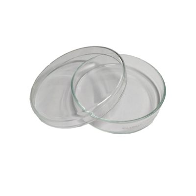Petri Dish 90mm Anumbra Germany