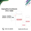 Aspergillus brasiliansis ATCC 16404