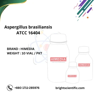 Aspergillus brasiliansis ATCC 16404