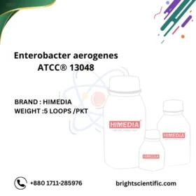 Enterobacter aerogenes ATCC