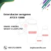 Enterobacter aerogenes ATCC® 13048