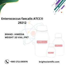 Enterococcus faecalis ATCC