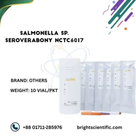 Salmonella sp SeroverAbony