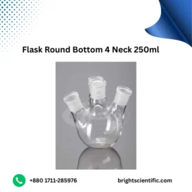 Flask Round Bottom 4 Neck 250ml B-24,19