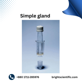 Simple Gland B-19 
