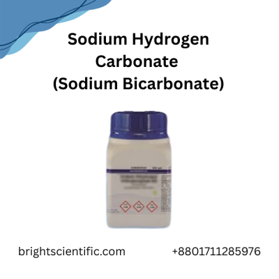 Sodium Hydrogen Carbonate (Sodium Bicarbonate)