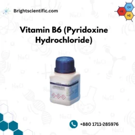 Vitamin B6 (Pyridoxine Hydrochloride) 
