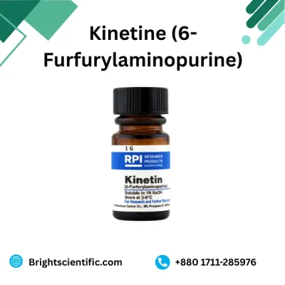 Kinetine (6-Furfurylaminopurine) 