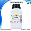 Lactose Monohydrate 500gm Laboratory Chemical