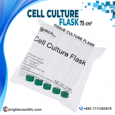 Sterile Cell Culture Flask 75 cm² with green screw cap for tissue culture, cell growth, biotechnology, and laboratory research applications.