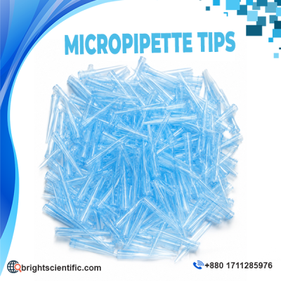 Pipette Tips 1000µL 500 pcs pack universal blue polypropylene laboratory micropipette tips for accurate liquid handling.